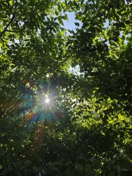 -蓝丝带产后恢复中心(于洪店)