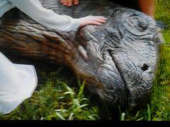 -佳兆业国际影城(鞍山店)