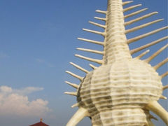 iphone_upload_pic-放鸡岛生态旅游国际度假区