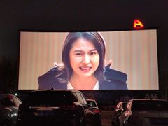-枫花园汽车电影院(朝阳公园店)