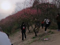 -溪口-滕头旅游景区