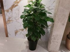 -便宜坊烤鸭店(亦庄京东店)