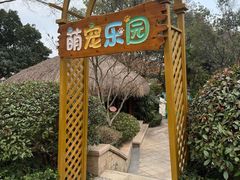 -绿城千岛湖喜来登度假酒店