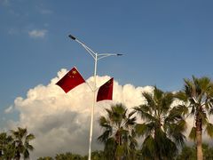 -宝安西湾红树林湿地公园