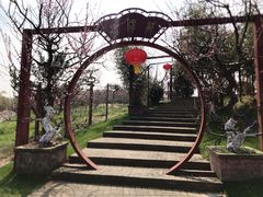 -上海海湾国家森林公园