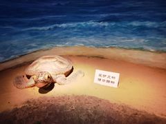 -嘉定博物馆