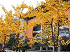 -西南交通大学(九里校区)