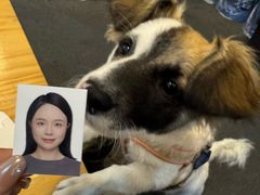 -小树照相馆·证件照(打浦桥店)