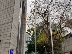 -成都天府丽都喜来登饭店