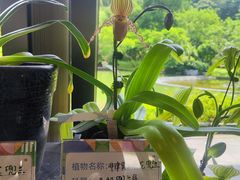 -云溪植物园