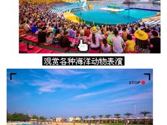 -秦皇岛乐岛海洋王国