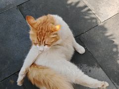 -李叔同故居纪念馆