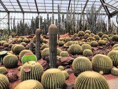 -南通洲际绿博园