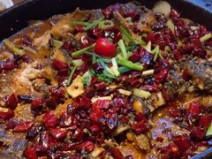 -老板恋上鱼(恒隆广场店)