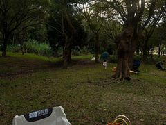 -小西家作(富力爱丁堡店)