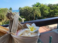 -逸廊大堂吧(三亚海棠湾万丽度假酒店)