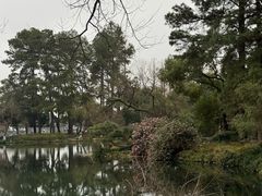 -杭州花家山庄