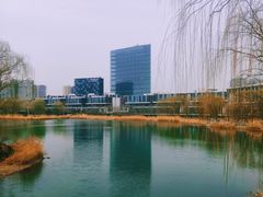 -大兴滨河森林公园