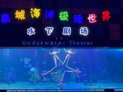 -泉城欧乐堡海洋极地世界