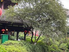 -泸州老窖景区