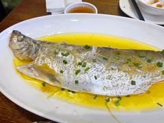 清蒸鲈鱼-熠盛粤味·顺德桑拿鸡(永康路店)