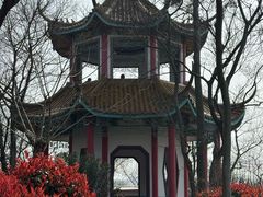 -巢湖姥山岛