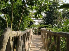 -南山植物园