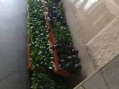 -王家渡火锅店(怀柔迎宾北路店)