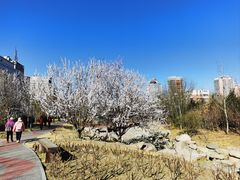 -莲花池公园