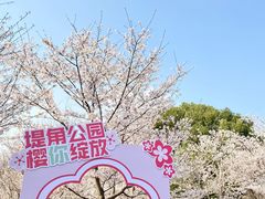 -堤角公园