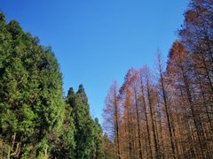 -山王坪喀斯特国家生态公园