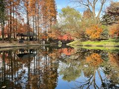 -上海共青森林公园