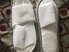 -碧桂园空港凤凰酒店(广州新白云机场店)