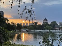 -莱西月湖公园