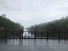 -黄海国家森林公园