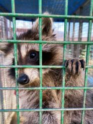 -萌宠亲子动物乐园(槐房万达店)