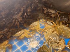 -亚马逊海鲜自助(梅溪湖步步高店)