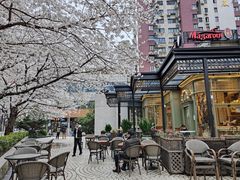 -玛格萝妮比萨屋(四平店)