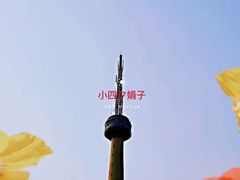 -胜景山庄柴火鸡