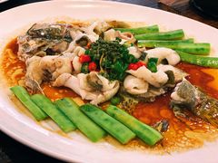 鲜花椒蒸桂花鲈-猪肉婆私房菜(容桂总店)