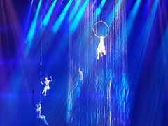 -水秀国际大剧院