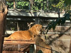 -昆明动物园