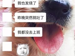 -探鱼·鲜青椒爽麻烤鱼(东城万达广场店)