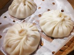 -老班长手工灌汤包(望京华彩店)