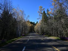 -五营红松林海景区