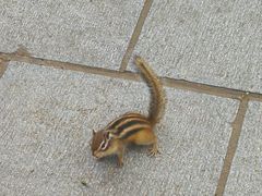 -长春市南湖公园