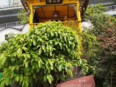 -泸州老窖景区