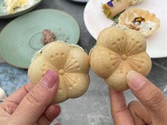 -Hi City·城市之巅