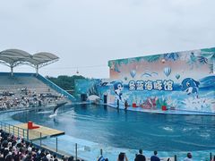 -北戴河圣蓝海洋公园