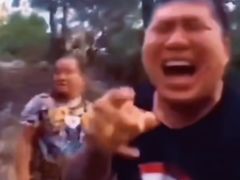 -五月古筝钢琴私塾